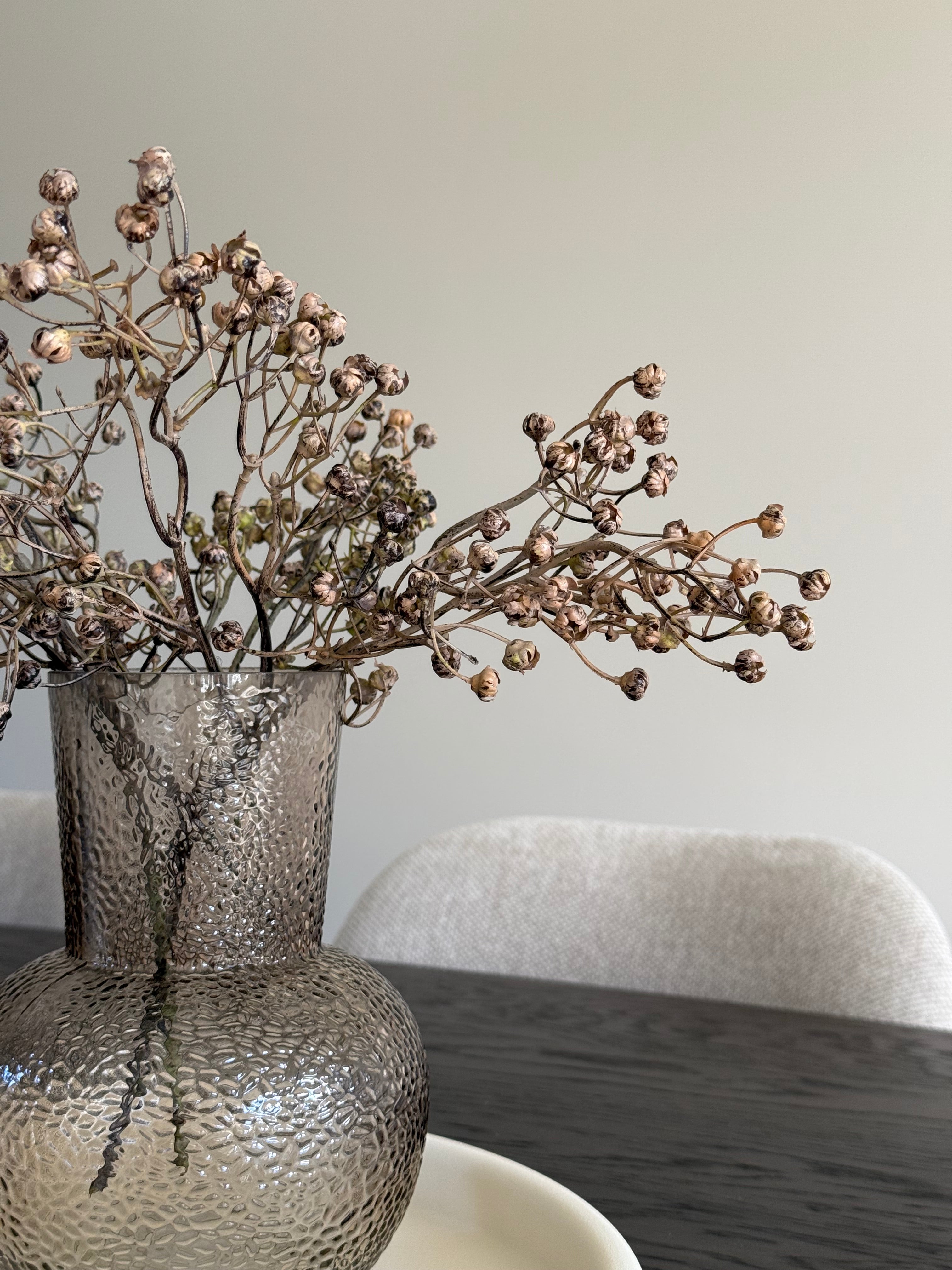Tak Ilex | Bruin