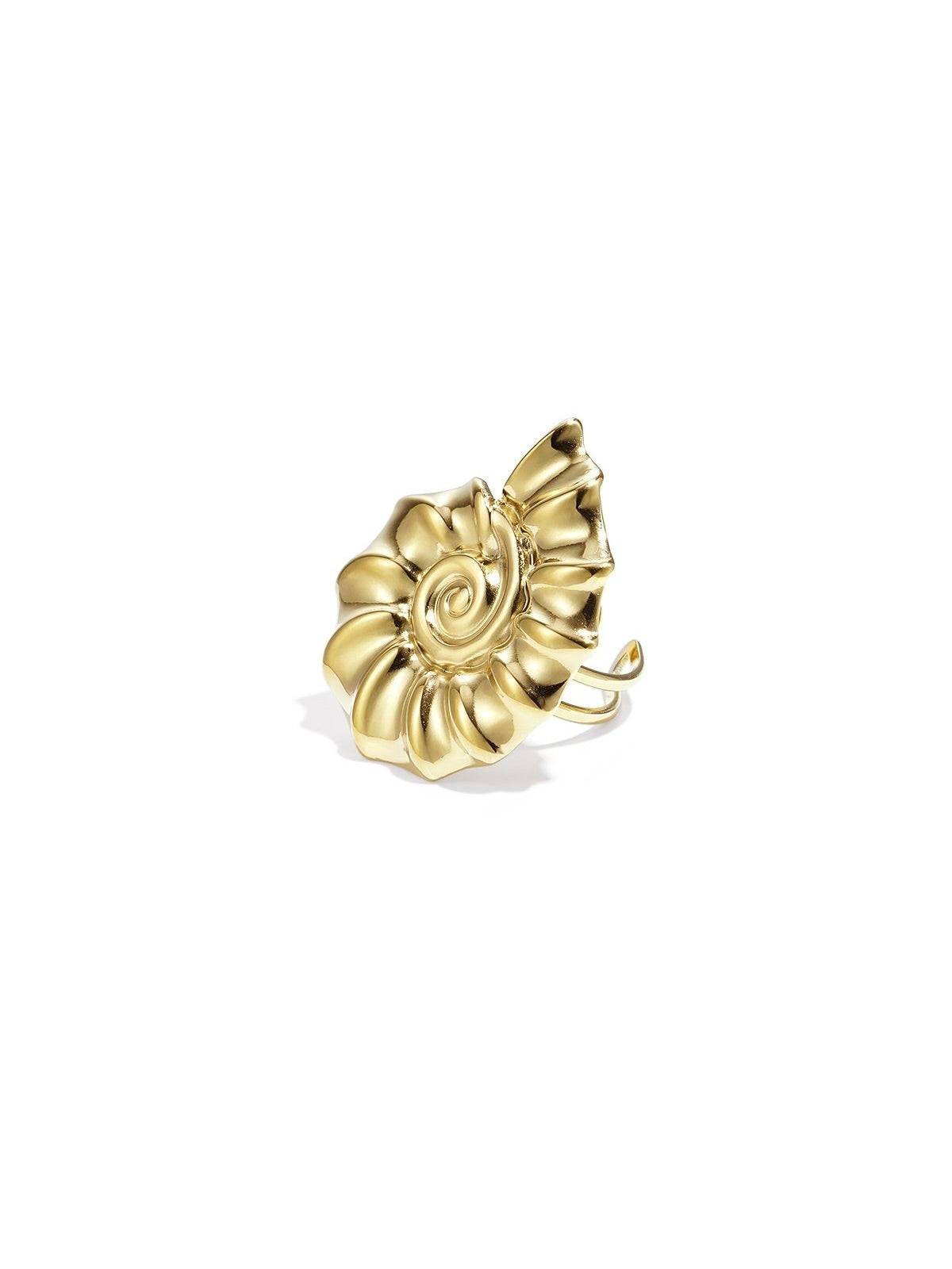 Shell Ring