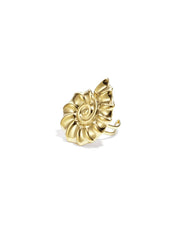Shell Ring