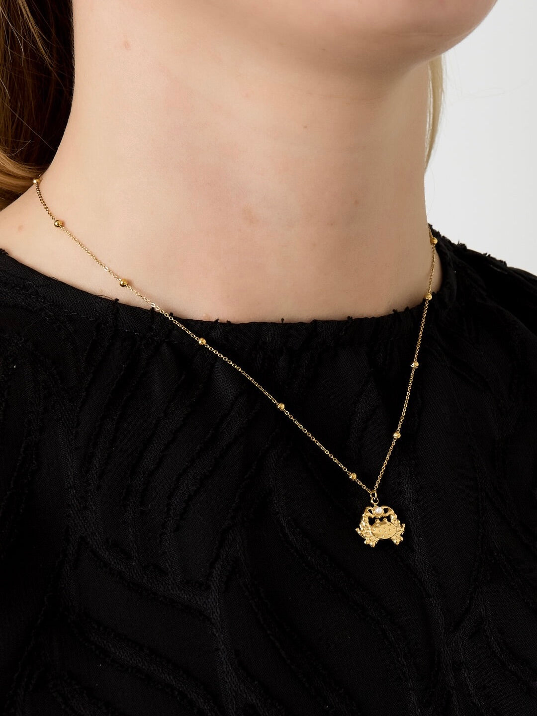 Ketting Crab
