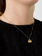 Ketting Crab