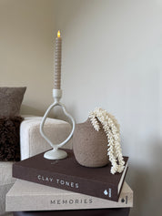 Erwten Plant | Creme