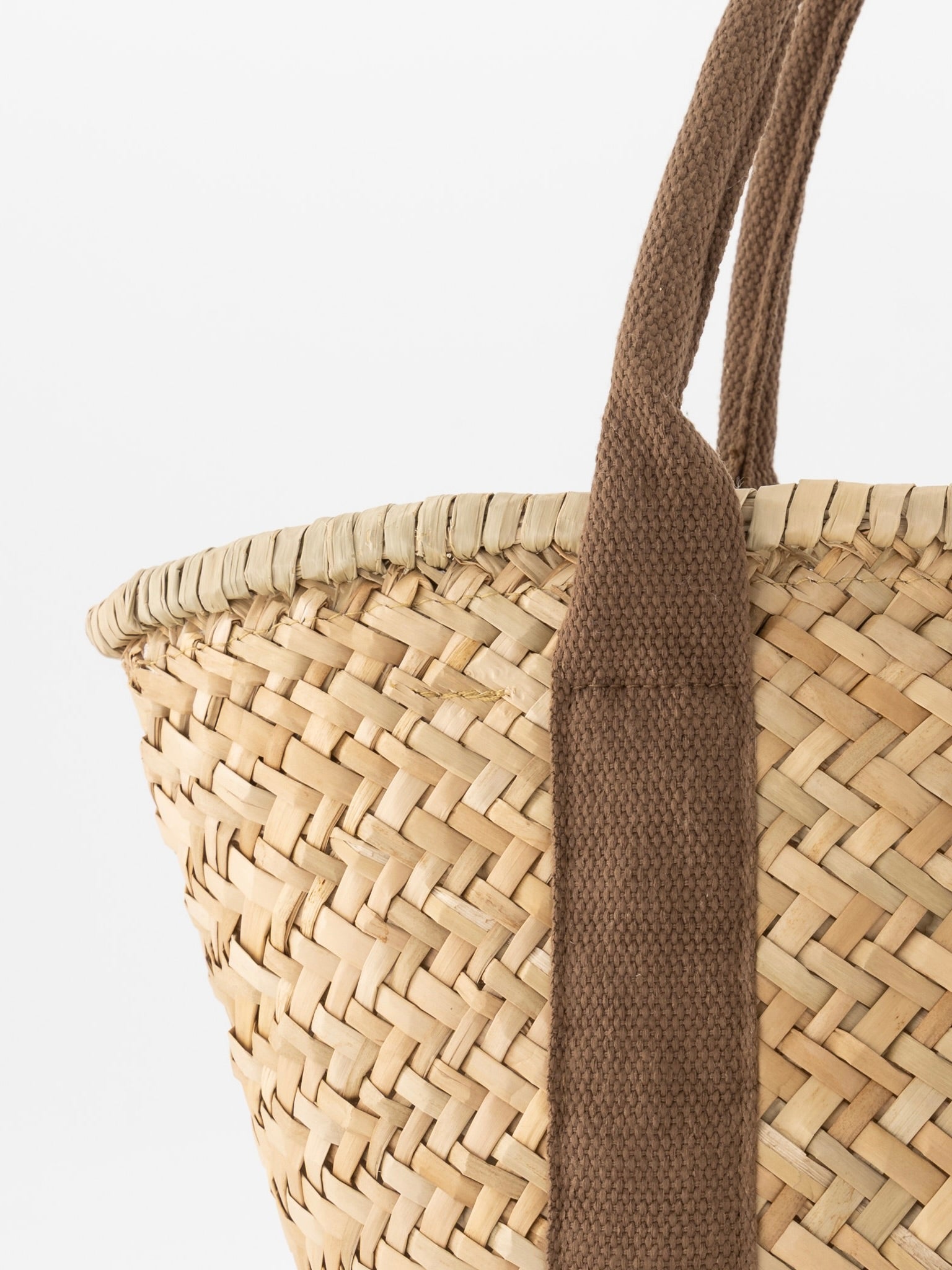 Tas Palma | Bruin