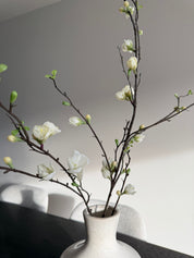 Peach Bloesem Tak | Wit