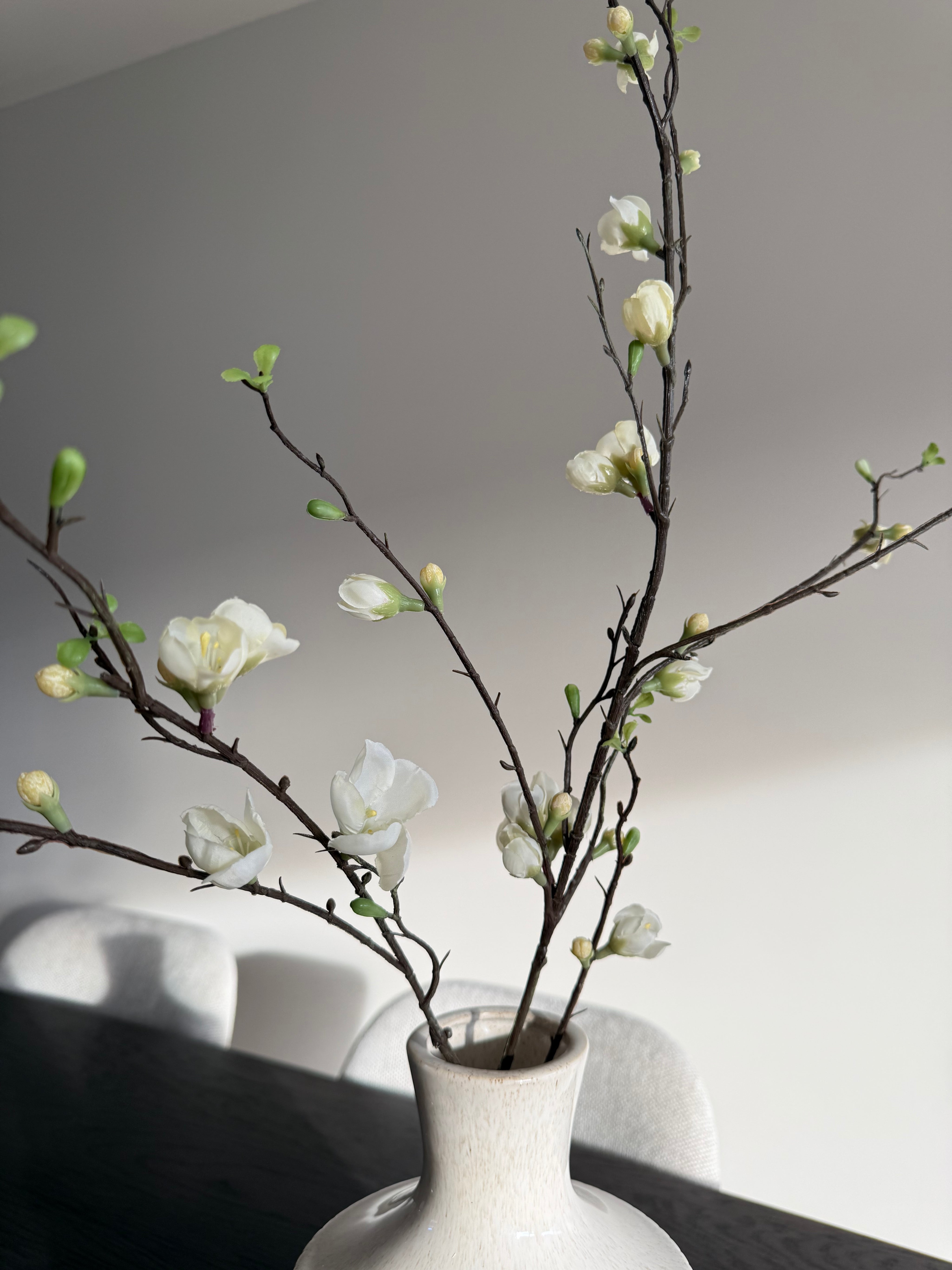 Peach Bloesem Tak | Wit