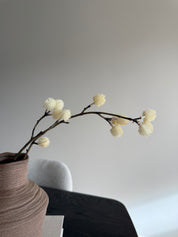 Kunstbes Tak | Creme