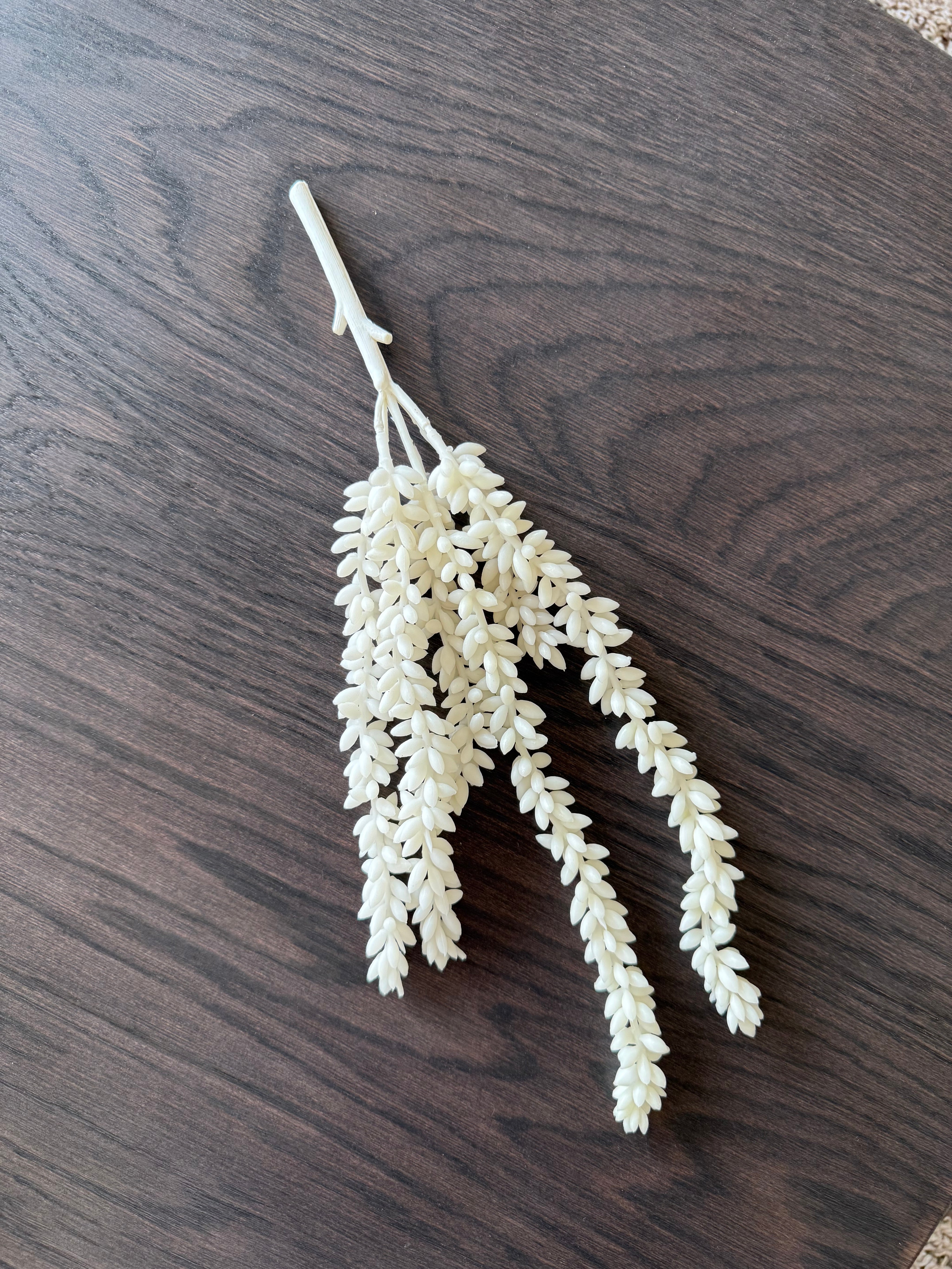 Erwten Plant | Creme