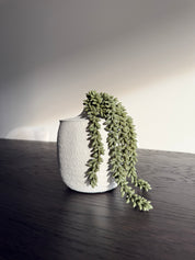 Vaas Bo Sandy Klein | Wit