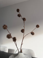 Clover Spray Tak | Bruin