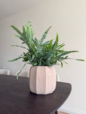 Bloempot Sidney | Taupe