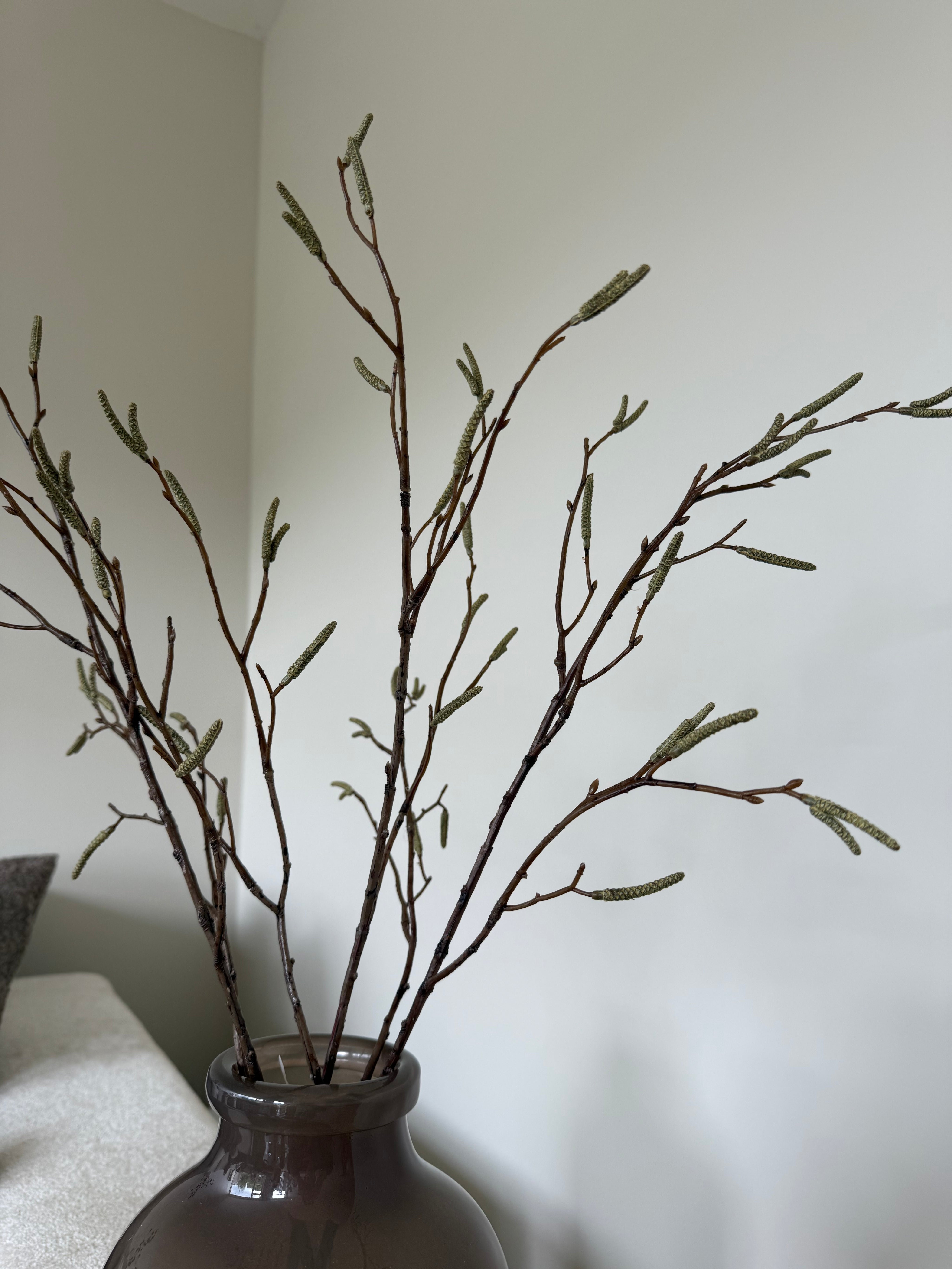 Salix Tak | Bruin