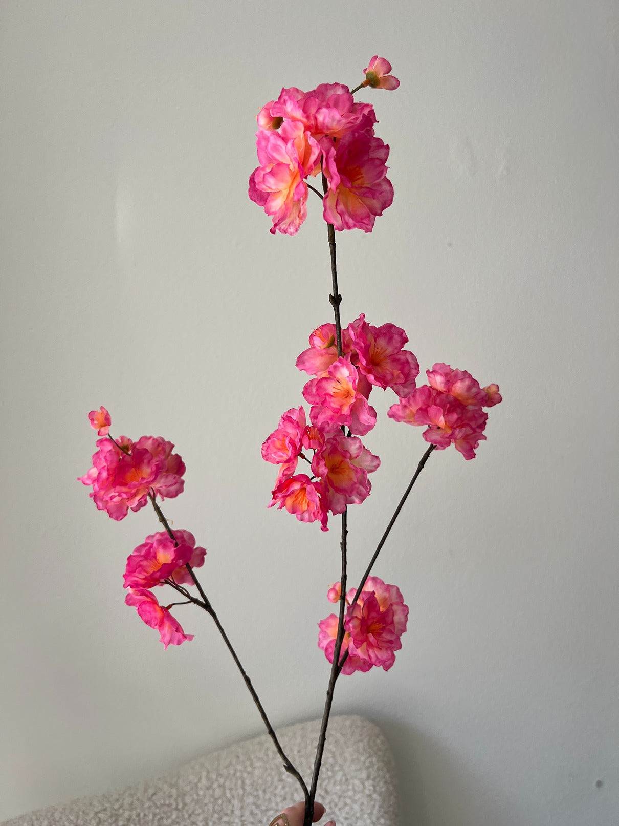 Bloesem Tak | Fuchsia